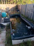 Te koop complete koi vijver, Tuin en Terras, Vijvers, Ophalen, Gebruikt