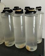 Flessen azijnaaltjes, het beste levend voer voor baby visjes, Ophalen