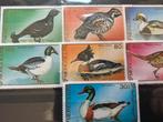 Vogels, Mongolië 1991, Postzegels en Munten, Postzegels | Thematische zegels, Ophalen of Verzenden, Dier of Natuur