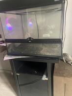 Exo terra 60/45/45 met kast en lamp, Ophalen of Verzenden, Terrarium of Paludarium