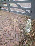 Biggenrug / Varkensrug van Beton, Ophalen of Verzenden, Gebruikt, Minder dan 180 cm, Overige typen