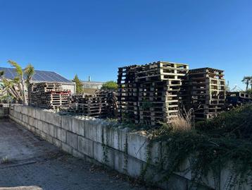 Houten pallets - Gewoon en Euro beschikbaar voor biedingen