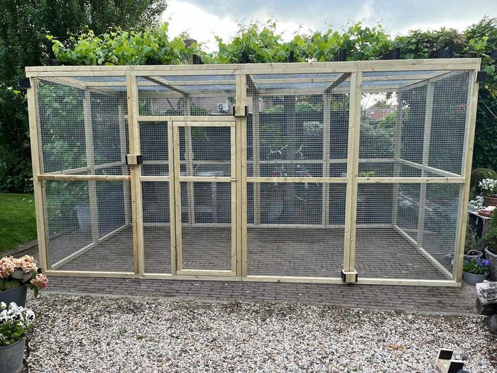 Nieuwe houten voliere, katten, kippen & konijnenrennen, Dieren en Toebehoren, Vogels | Hokken en Kooien, Nieuw, Volière, Hout
