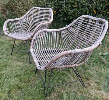 Rotan tuinstoelen 2 stuks - Rieten tuinset - Retro Botanisch beschikbaar voor biedingen