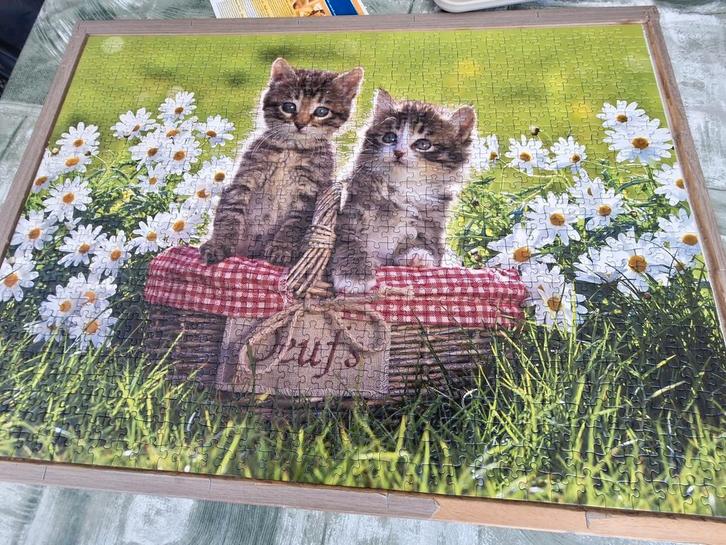 Poezen picknick in de wei, Tuin en Terras, Tuinwanddecoratie, Zo goed als nieuw, Ophalen of Verzenden