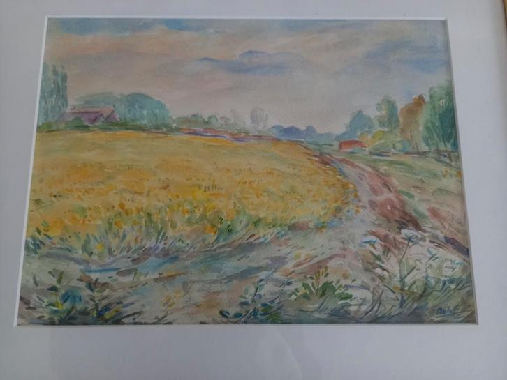 2 stuks aquarel in lijst van Nico Oeloff, Antiek en Kunst, Kunst | Litho's en Zeefdrukken, Ophalen of Verzenden