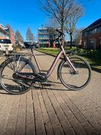 Batavus Sangria Mat - Frame 57 - Weinig gebruikt, Ophalen, Versnellingen, Batavus, 56 cm of meer