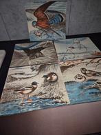 Vintage Vogel Onderzetters - Set van 6, Ophalen of Verzenden