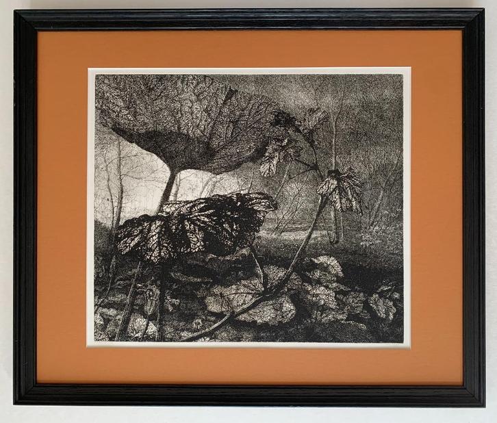 Grote ets Reinder Homan + boek, Antiek en Kunst, Kunst | Etsen en Gravures, Ophalen of Verzenden