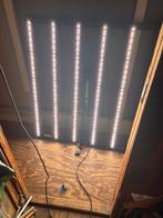 lampy lumateks zeus 600w pro 2.9, Ophalen of Verzenden, Zo goed als nieuw, Kweeklamp