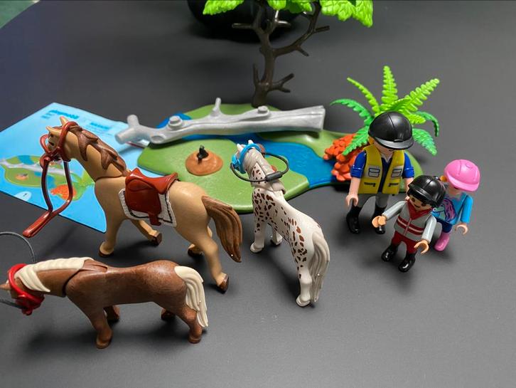 Ponyrijles, nr 6947, Kinderen en Baby's, Speelgoed | Playmobil, Zo goed als nieuw, Complete set, Ophalen of Verzenden