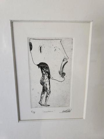 Cristobal - Ets (1) beschikbaar voor biedingen