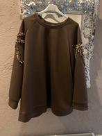 Sweater maat 52/54, Kleding | Dames, Grote Maten, Ophalen of Verzenden, Zo goed als nieuw, Bruin, Trui of Vest