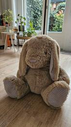 Knuffel Konijn 50 cm, Ophalen, Zo goed als nieuw, Eenpersoons, Minder dan 150 cm