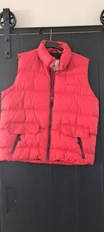 rode Gaastra mannen bodywarmer, Kleding | Heren, Bodywarmers, Ophalen of Verzenden, Zo goed als nieuw, Overige maten, Rood