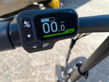 Fiido D3 Pro Mini E-bike - Compact en Krachtig! beschikbaar voor biedingen