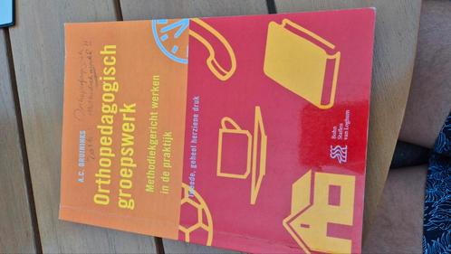 A.C. Bruininks - Orthopedagogisch groepswerk, Boeken, Studieboeken en Cursussen, Zo goed als nieuw, HBO, Alpha, Ophalen of Verzenden