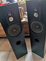 Magnat luidsprekers, Audio, Tv en Foto, Gebruikt, Magnat, Ophalen of Verzenden, 120 watt of meer