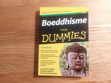 Jonathan Landaw - Boeddhisme voor Dummies beschikbaar voor biedingen