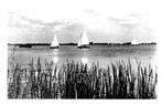 939033	zeilboot	meer	1951	Poststempel Sneek	Gelopen met zege, Ophalen of Verzenden, 1940 tot 1960, Gelopen, Friesland