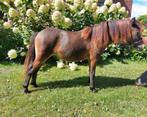 Superlief en makkelijk NMPRS mini paardje hengst, Met stamboom, Niet van toepassing, 0 tot 2 jaar, A pony (tot 1.17m)