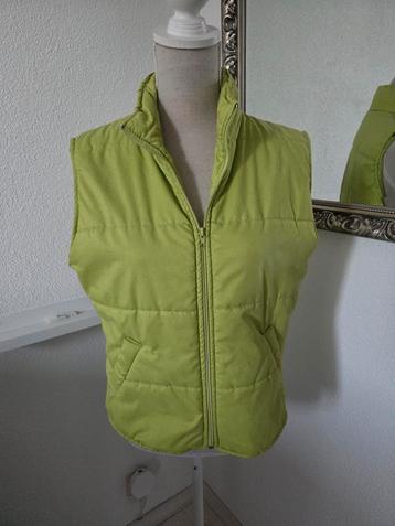 Bodywarmer  beschikbaar voor biedingen