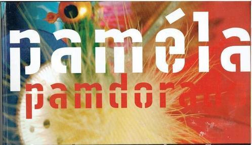 Pam Schellekens Pamdora nothing is what is seems, Boeken, Kunst en Cultuur | Beeldend, Zo goed als nieuw, Schilder- en Tekenkunst
