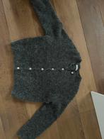 By -bar vest maat xs grijs gemêleerd, Ophalen of Verzenden, Gedragen, Maat 34 (XS) of kleiner, Grijs