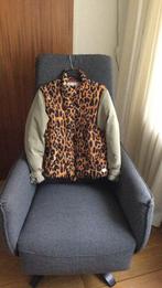 Winterjas maat 152 merk Scotch-R-Belle, Ophalen of Verzenden, Zo goed als nieuw, Meisje, Jas