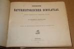 Antieke Natuurhistorische Atlas [1892] — Veel Litho's, Antiek en Kunst, Ophalen of Verzenden