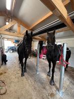 Verzorgster/bijrijder gezocht