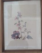 Botanische afbeelding ingelijst 3 stuks, Ophalen of Verzenden