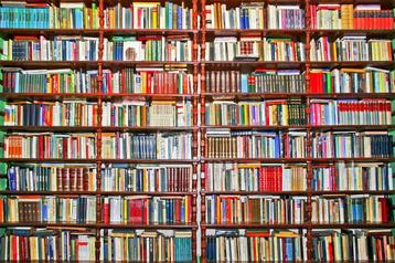 Grote Opruiming - Alle boeken 4 euro beschikbaar voor biedingen