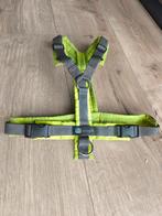 Anny-x tuig maat S Neon geel/grijs, Dieren en Toebehoren, Ophalen of Verzenden