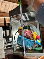 Tetra, Dieren en Toebehoren, Ophalen, Gebruikt, Leeg aquarium
