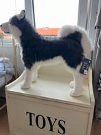 Sib Husky, Dieren en Toebehoren, Ophalen of Verzenden, Zo goed als nieuw