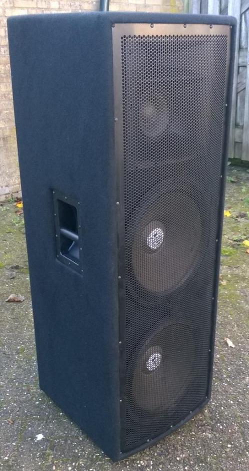 Luidsprekers dubbel 15 inch 500-1000 Watt 3-weg, Audio, Tv en Foto, Luidsprekers, Zo goed als nieuw, Overige typen, 120 watt of meer