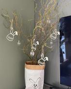 Paashaasjes met Naam, Ophalen of Verzenden, Halfschaduw, Minder dan 100 cm