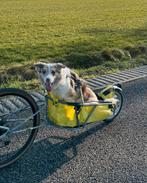 Bob Yak fietskar, Ophalen, Gebruikt, Bob yak, Hondenkar