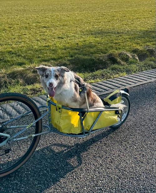 Bob Yak fietskar, Fietsen en Brommers, Fietsaccessoires | Aanhangers en Karren, Gebruikt, Hondenkar, 40 tot 60 kg, Ophalen
