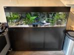 Aqualife aquarium met volledig bestand., Dieren en Toebehoren, Vissen | Aquaria en Toebehoren, Ophalen, Gebruikt, Gevuld zoetwateraquarium