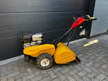 Nette tuinfrees te koop beschikbaar voor biedingen