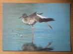 Ansichtkaart Tureluur weidevogels, Verzamelen, Verzenden, 1980 tot heden, Ongelopen, Vogel