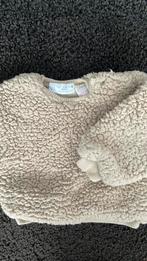 Truitje, maat 62, Zara, Gebruikt, Ophalen of Verzenden, Zara, Truitje of Vestje