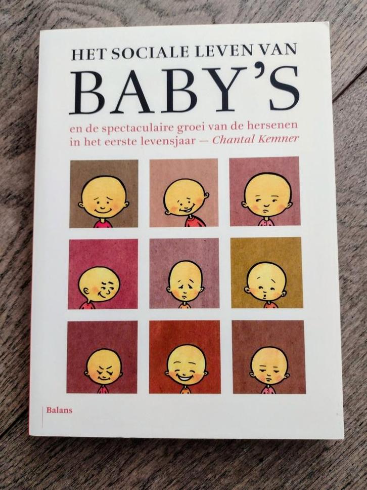 Chantal Kemner - Het sociale leven van baby's, Boeken, Psychologie, Nieuw, Ontwikkelingspsychologie, Ophalen of Verzenden