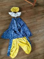 Pieten pak., Ophalen of Verzenden, Gebruikt, Jongen of Meisje