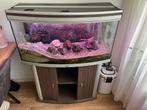 Juwel Aquarium +-200L, Ophalen, Gebruikt, Leeg aquarium