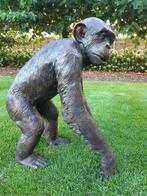 Chimpansee in brons laatste stuk 1300 ipv 2287 euro!!!!!!!, Ophalen of Verzenden, Nieuw, Overige materialen, Dierenbeeld