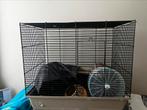 Hamsterhok met plankjes, drinkfles, toiletbak, huis,rad, e.d, Dieren en Toebehoren, Gebruikt, Minder dan 75 cm, Ophalen, Minder dan 60 cm