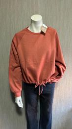 Nieuwe 24Colours trui sweater maat S, Nieuw, 24Colours, Oranje, Maat 36 (S)